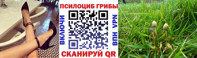 даркнет сайт  Всеволожск  Псилоцибиновые грибы Cubensis 